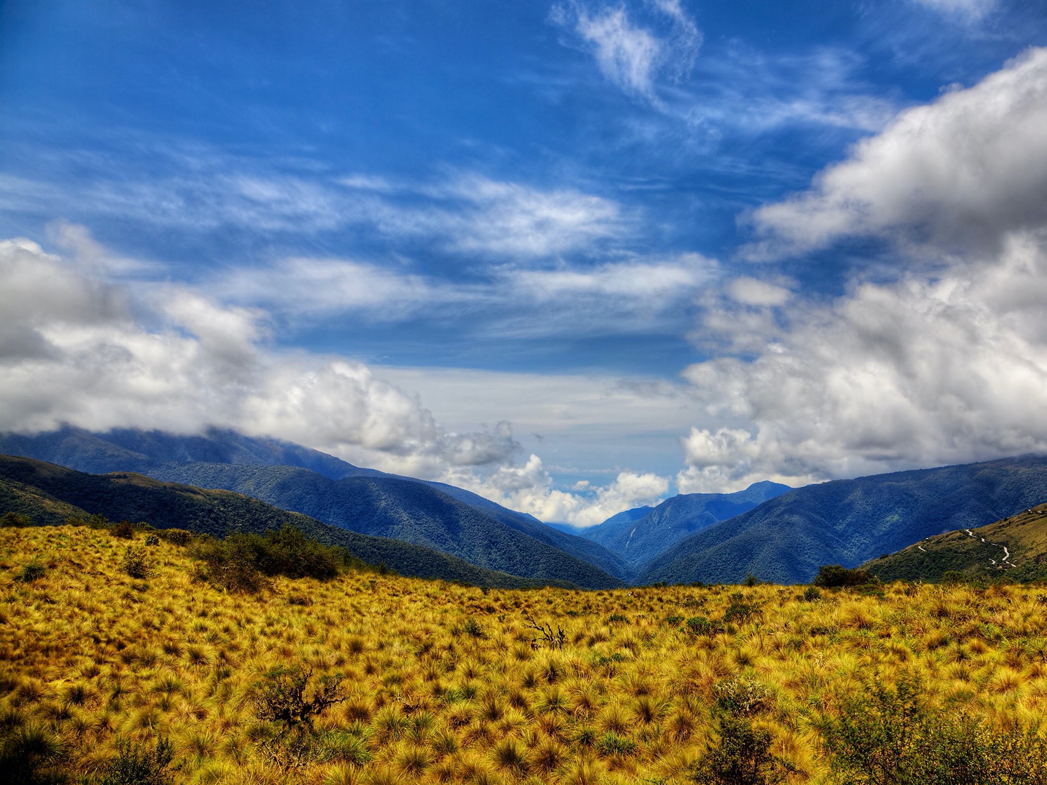 . Parque Nacional del Manu .